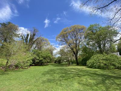 VGNE Pond Park 3