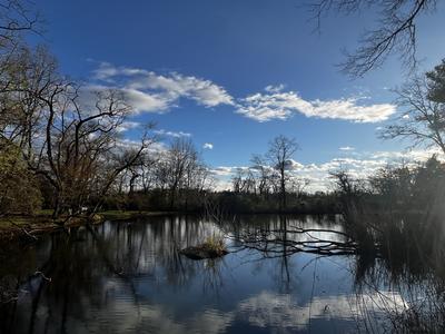 VGNE Pond Park 