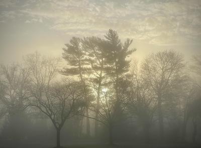 VGNE Fog